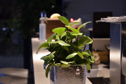 艺龙瑞云酒店(南京新街口德基广场店)