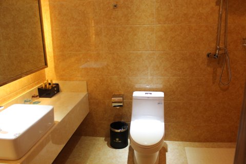 汪清新天府国际酒店