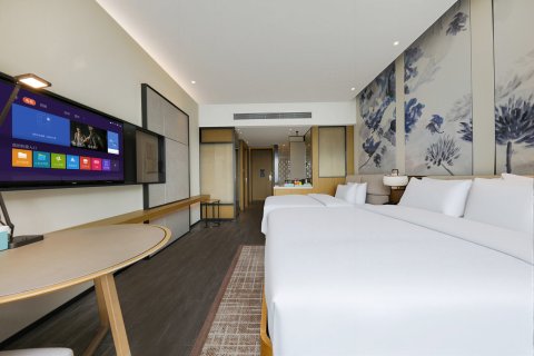 英德天樾王国酒店