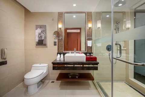 吉林紫光苑华美达酒店(万达广场店)