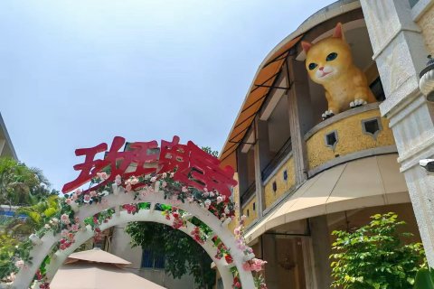 玫瑰屋度假别墅(鼓浪屿钢琴码头店)