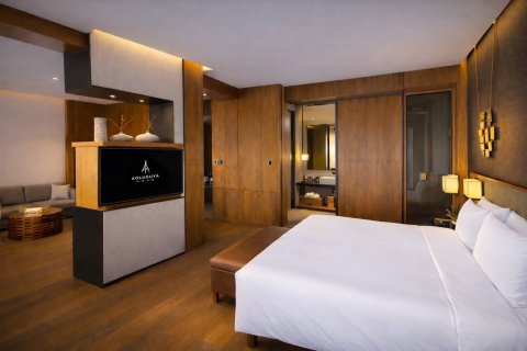 哈尔滨敖麓谷雅酒店｜凯悦臻选