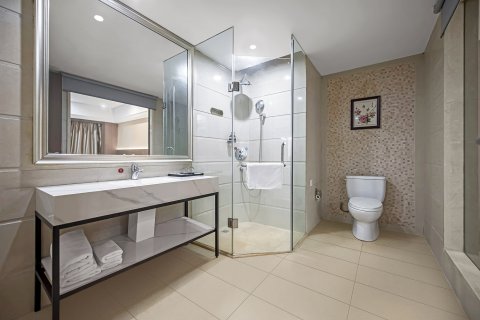 泊霖大酒店(汉寿万达广场店)