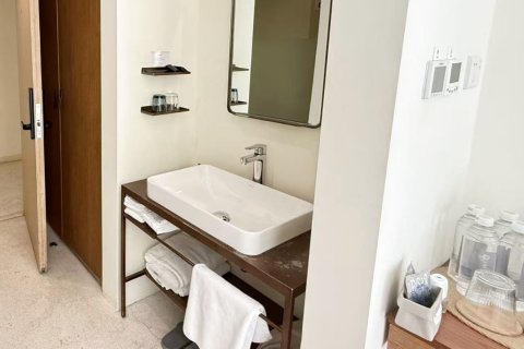 大乐之野(莫干山庾村店)