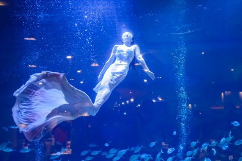 三亚亚龙湾迎宾馆