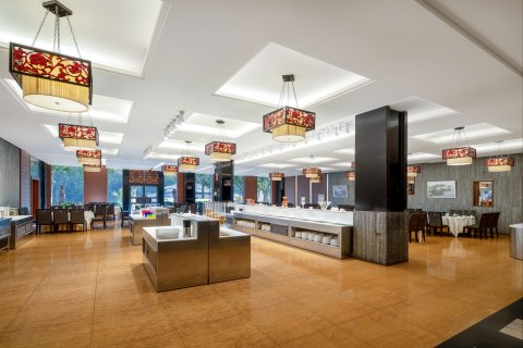 新丰云天海温泉原始森林度假村