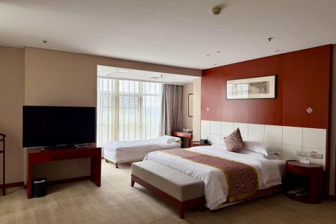 南京机场宾馆(夫子庙龙蟠中路店)