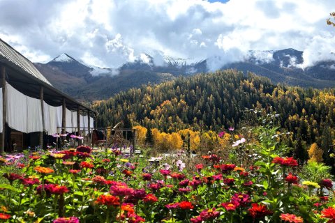 哈巴河四十八度驿栈