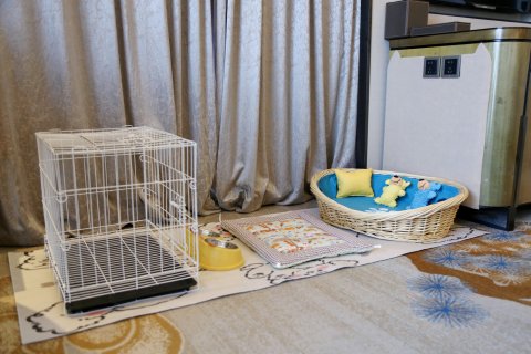 泰安富力万达嘉华酒店(泰山国际会展中心店)