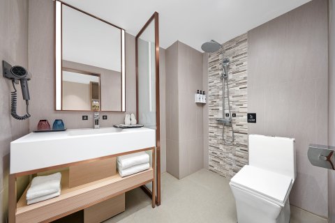 麗枫酒店(广州白云机场空港店)