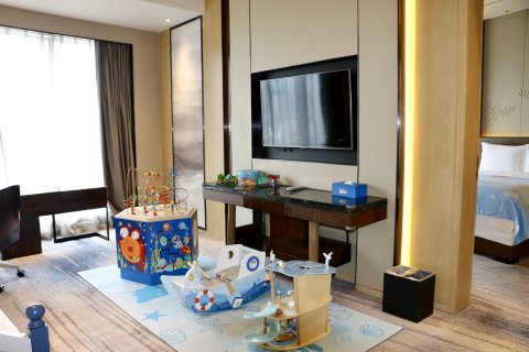 安顺百灵希尔顿逸林酒店(古城历史文化街区店)