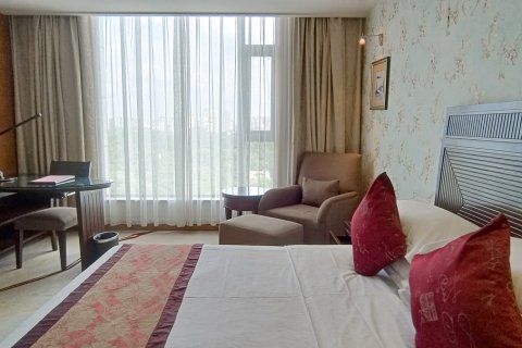 内江艾林大千国际酒店