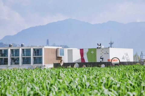 童年池塘边民宿