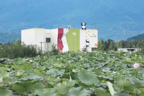 童年池塘边民宿