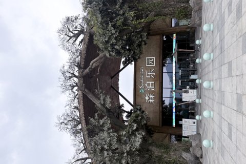 杭州开元森泊度假乐园
