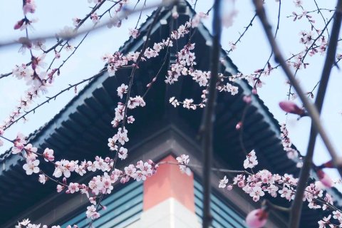 天津生态城希尔顿酒店