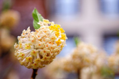 合肥融创雅高诺富特酒店