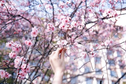 合肥融创雅高铂尔曼酒店