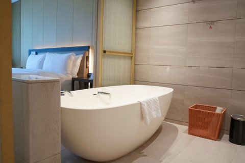 海南兴隆希尔顿逸林滨湖度假酒店