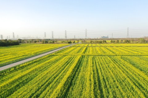 昆山花桥中城假日酒店