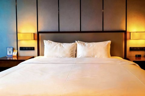 上海新桥绿地铂骊酒店