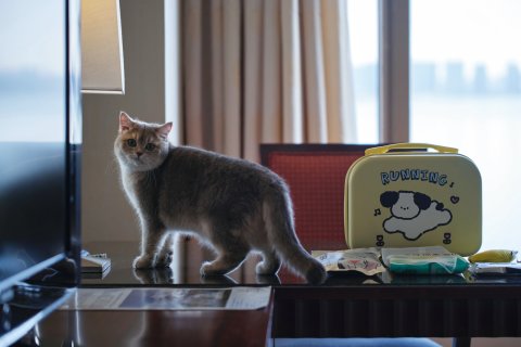 苏州金鸡湖凯宾斯基大酒店