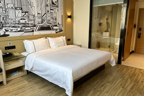 城市便捷酒店(河池都安文体广场店)