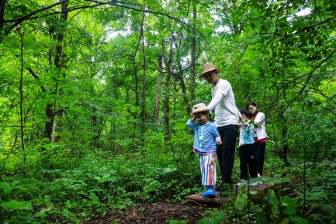 长白山万达智选假日酒店