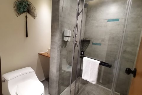 重庆飞花渡水宿