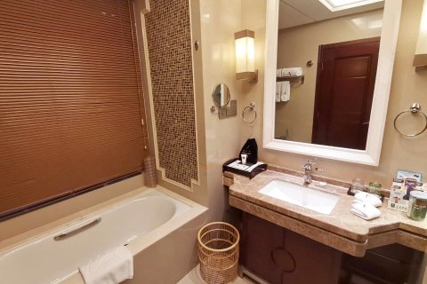 聊城阿尔卡迪亚国际温泉酒店