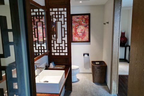 重庆飞花渡水宿