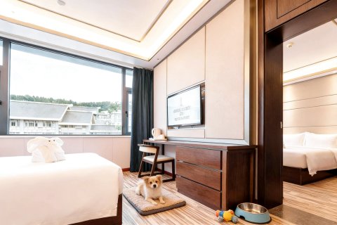 遵投丽呈睿轩酒店(遵义会址捞沙巷店)