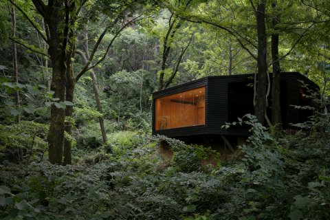 武汉樾和林泉民宿