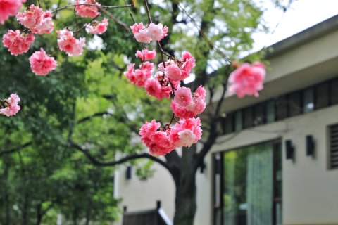 抚仙湖万达文华酒店