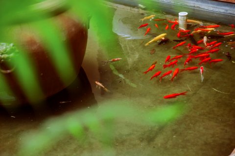 普者黑品乡阁和院美宿(青龙山码头店)