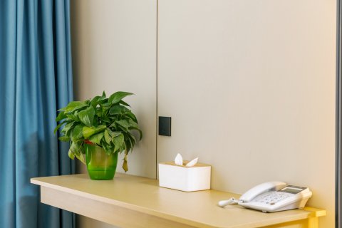 张掖西夏青年旅行酒店