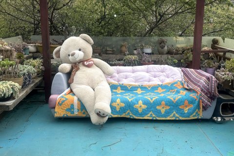 丽江束河古道人家客栈