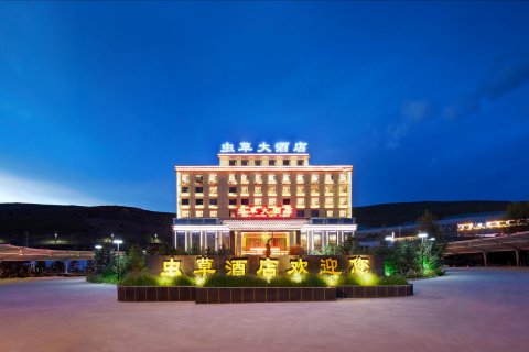 理塘虫草大酒店(甘孜理塘318国道店)