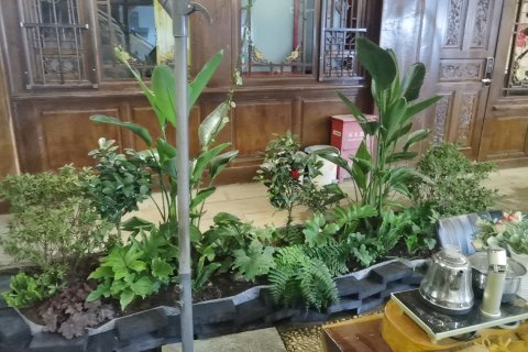 丽江古城大水车·忆梦尘风日照金山雪山观景客栈