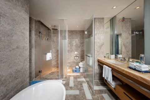 三亚亚特兰蒂斯酒店