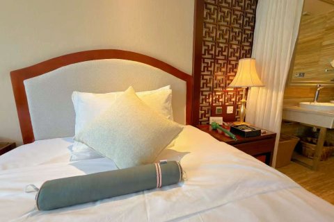 盐边红格温泉假日酒店