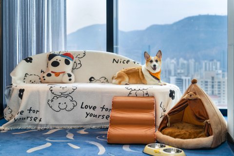 兰州凯悦酒店(黄河水车博览园店)