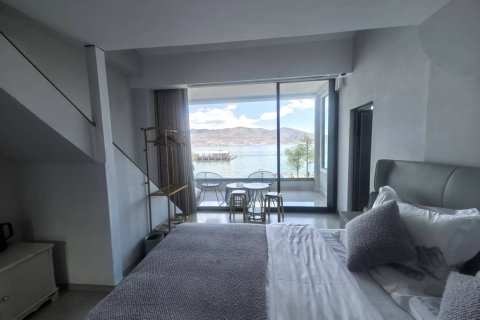 大理海天一海景客栈（洱海生态廊道才村码头店）