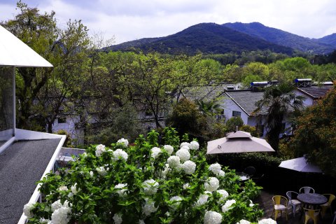 杭州印象·林隐民宿（西湖灵隐寺店)