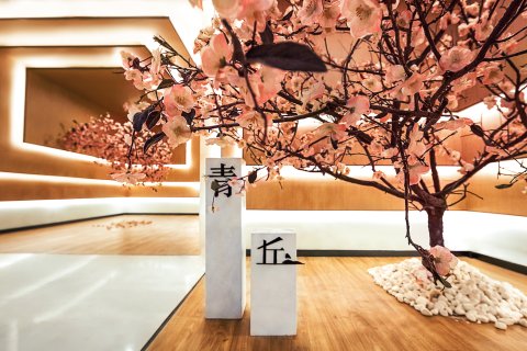 青丘桃林酒店(大连星海广场店)