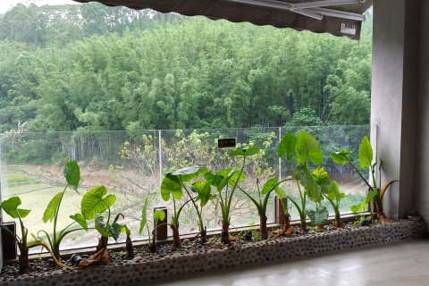 广州愿望山居.花溪雨于舍民宿