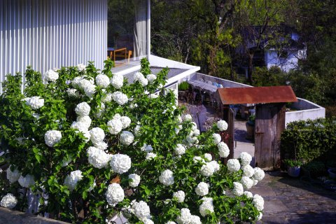 杭州印象·林隐民宿（西湖灵隐寺店)
