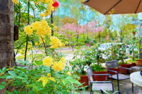 花筑·轩之缘民宿(仙都景区店)