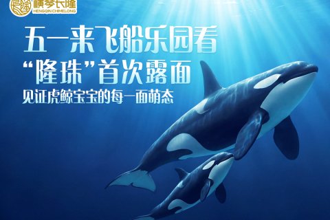 珠海长隆企鹅酒店