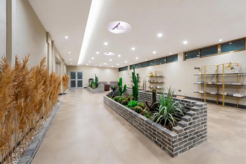 绿洲岛·S酒店(敦煌沙州夜市店)